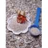 Hermit Crab Food, Oyster Shell Powder, Food and Bites Treats