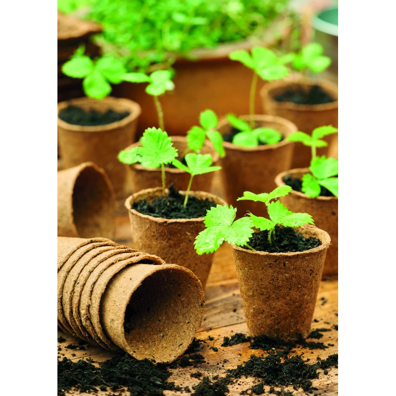 Gro-sure Fibre Pots Round 8cm 48pk Propagation kit, Brown