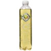 SPARKLING ICE Sparkling Water Plastic Bottle, 16571953381, Ginger Lime, 17