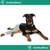Hip and Thigh Wound Protective Sleeve for Dogs. Dog Recovery