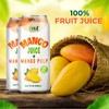 Vinut 100% Mango Juice with Pulp (16.57 fl oz, Pack