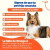 Dogelthy Pack De 3 Aceites De Salmón Para Perro Omega3