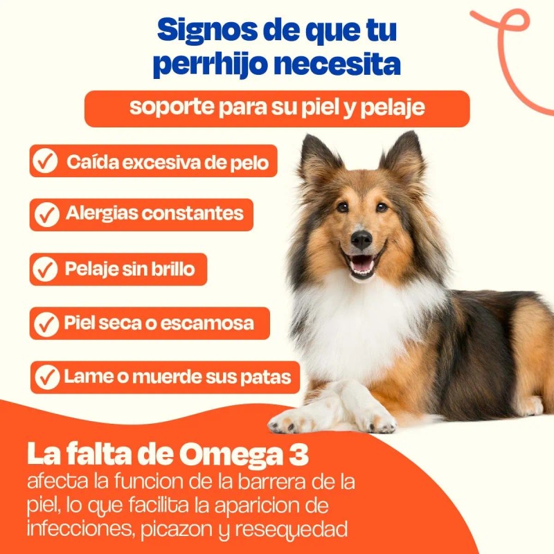 Dogelthy Pack De 3 Aceites De Salmón Para Perro Omega3