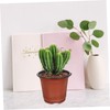 BESPORTBLE 50pcs Plastic Flowerpot Succulents Flower Pot Decorative Flower Pot