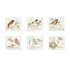 Songbird Cork Backed Coasters Set Of 6