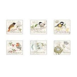 Songbird Cork Backed Coasters Set Of 6