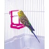 Penn-Plax Bird Life - Landing Perch with Mirror and Beads