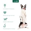 Restomyl Dentalcroc, Supporto nutrizionale, Migliora l'alito. Controlla e previene la