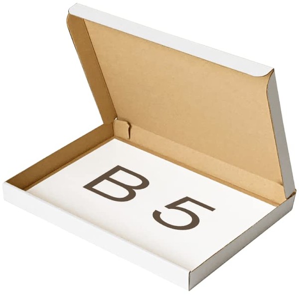 Earth Cardboard ID0495 Catpos Cardboard Box B5, Set of 10, White, Cardboard, Small Cardboard, Nekoposu Box