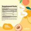 Wellah L-Glutamine Peach Mango (50 Servings) - 5g L-Glutamine Per