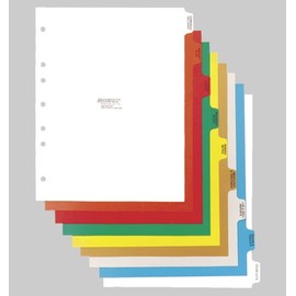 Omnimed 220911 16 Tab Preprinted Poly Chart Dividers with Side Open