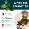 Teapro Supreme Shou Mei White Tea 30g | Longevity Eyebrow
