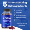 NutraChamps NutraChamps Calm Gummies, Stress Gummies Supplement with Ashwagandha, L-Theanine,