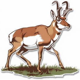 Pronghorn Distinctive Forked Horns and Fast Running Speed Vinyl Bumper Decal Sticker for Windows, Cars, SUVs, Bikes, Laptops, Notebooks etc Waterproof 6 inches