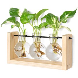 Mkono Plant Terrarium with Wooden Stand, Wall Hanging Glass Planter Tabletop Propagation Station Bulb Vase Metal Swivel Holder Retro Rack with 3 Bud Bottle for Hydroponics Plants Home Office Decor