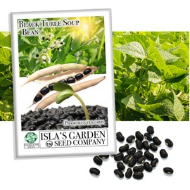 Black Turtle Soup Bean Seeds – 25+ Non-GMO & Heirloom Seeds, Phaseolus vulgaris, Rich Flavor Black Beans for Soups & Stews, High Yield Warm-Season Legume, by Isla’s Garden Seeds, Gift Idea