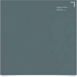 BACKDROP | Premium Interior Paint | Large Adhesive Paint Swatch | SATURDAY ON SUNDAY - Dark Blue-Gray With A Hint Of Green | 12" x 12" Color Sample