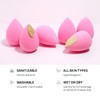 AOA STUDIO AOA Studio Collection makeup Sponge Set Latex Free