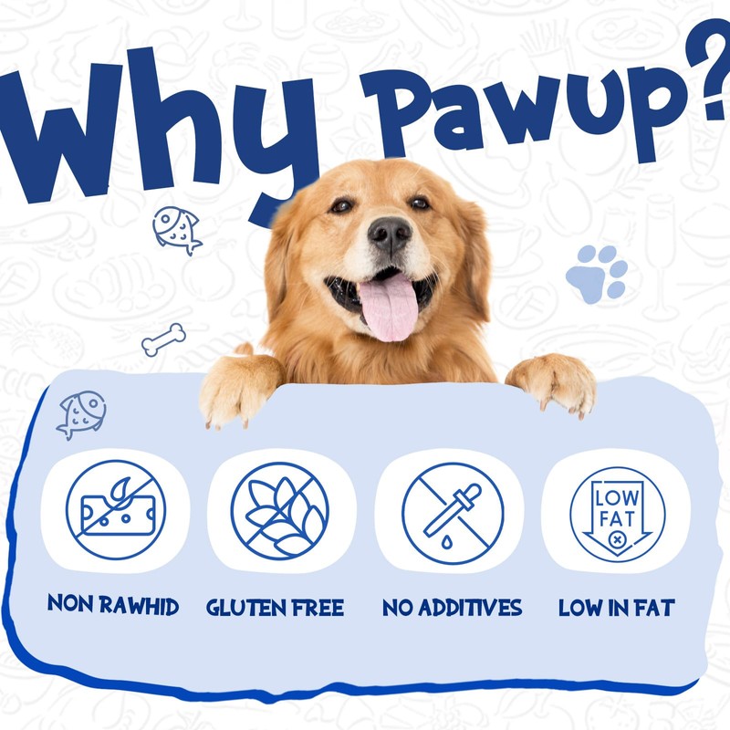 PAWUP Cod Skin Dog Treats - Natural Fish Roll Snacks