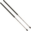 12.54 in 2Pcs Liftgate Lift Support Tailgate Hatch Struts Gas