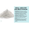 The Seed Supply 5 Pounds Diamond K Gypsum Soluble Grade
