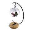 Archi G-Shaped Ornament Display Stand Iron Pothook Stand for Hanging