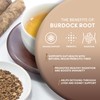 Worldwide Botanicals Organic Burdock Root – 1 lb - 100%