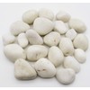 UniDeco White Rocks for Plants – 10.0 Lb – 1.0