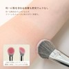LASHIDOL Diagonal Cut Cheek Brush, Makeup Brush, Soft High Density,