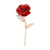 Rose Dipped in 24k Gold Forever Preserved Long Stem Rose