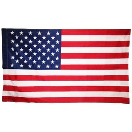 Trade Winds 2x3 USA American United States Flag Pole Sleeve Sleeved Polyester Printed 2'x3' Fade Resistant Premium Quality (Imported)