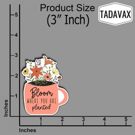 (3Pcs) Bloom Where You are Planted Sticker - Inspirational Vinyl Waterproof Sticker for Water Bottles, Laptops, Journals, and Gifts - Motivational Quote Decal for Growth and Positivity - 3x2.3 Inch