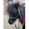 Equipride Rope Headcollar with Lead Rope Rainbow Coloured Size Full-Shetland