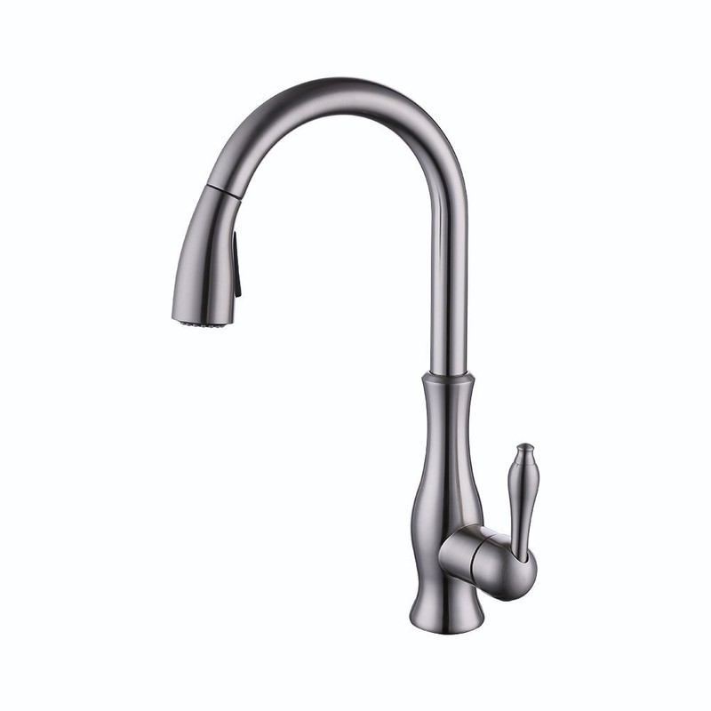 Weirun Kitchen Sink Faucet Pull-Out Spray Head Replacement Part,Kitchen Sink