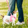 PUPTECK Adjustable Dog Harness Collar and Leash Set Step in