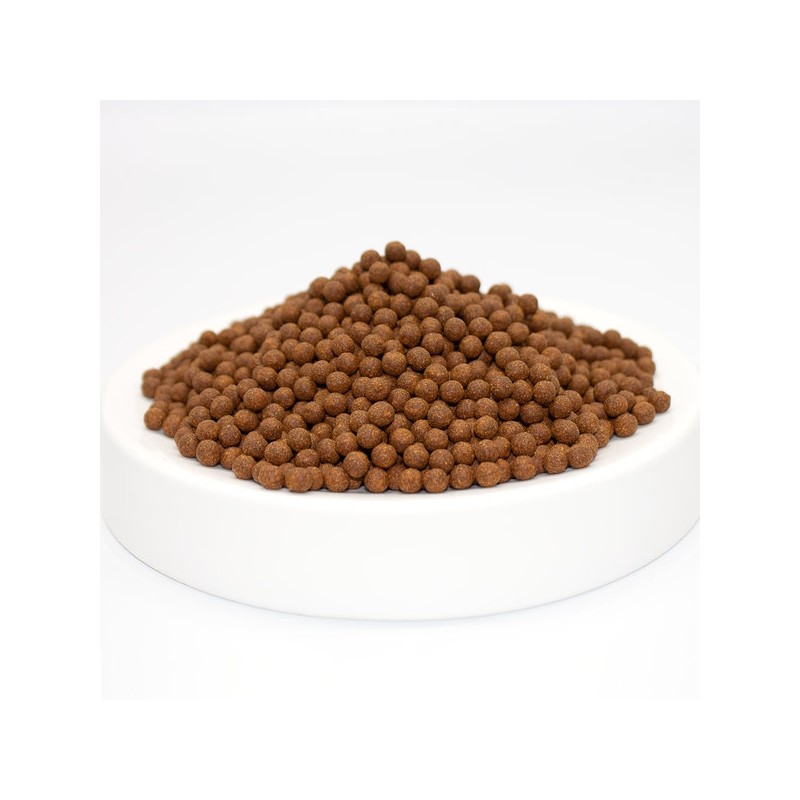 Domestic Cheongyang Wolfberry Pill 300g / 국산 청양 구기자환 300g