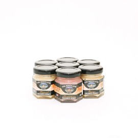 VERSAINSECT nd and Gifts 2oz Jar Honeycomb Garden sculpture outdoor decoration