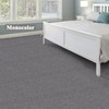 Lrlmct 20" X 20" Carpet Tiles, Carpet Squares, 24 Tiles/64.5