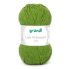 Gründl Wool Lisa Premium Plain Knitting and Crochet Yarn, 100%