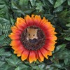 Vivid Arts HGF-029 Hanging Harvest Mouse / Orange Sunflower