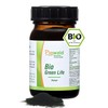 Organic Green Life 100 g Powder