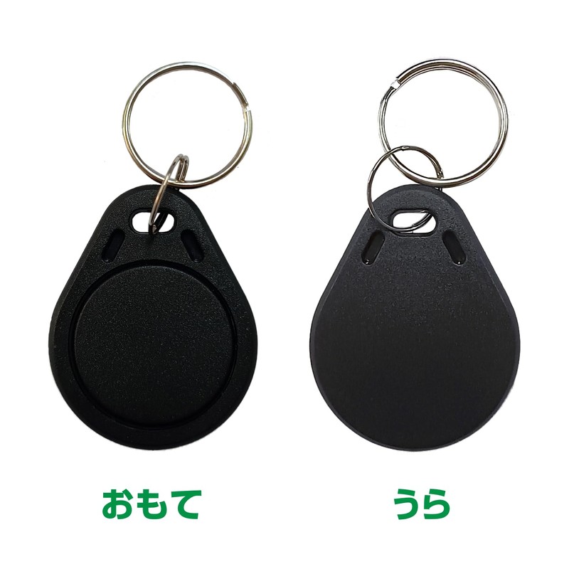Dennett FeliCa IC Keychain, Set of 10, Ferrica Lite-S
