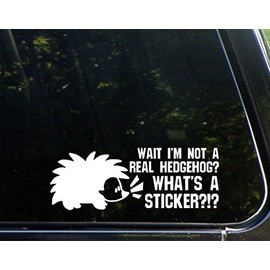 Wait I'm Not A Real Hedgehog? What's A Sticker?- 8-3/4"x 3" - Vinyl Die Cut Decal/Bumper Sticker for Windows, Cars, Trucks, Laptops, Etc...