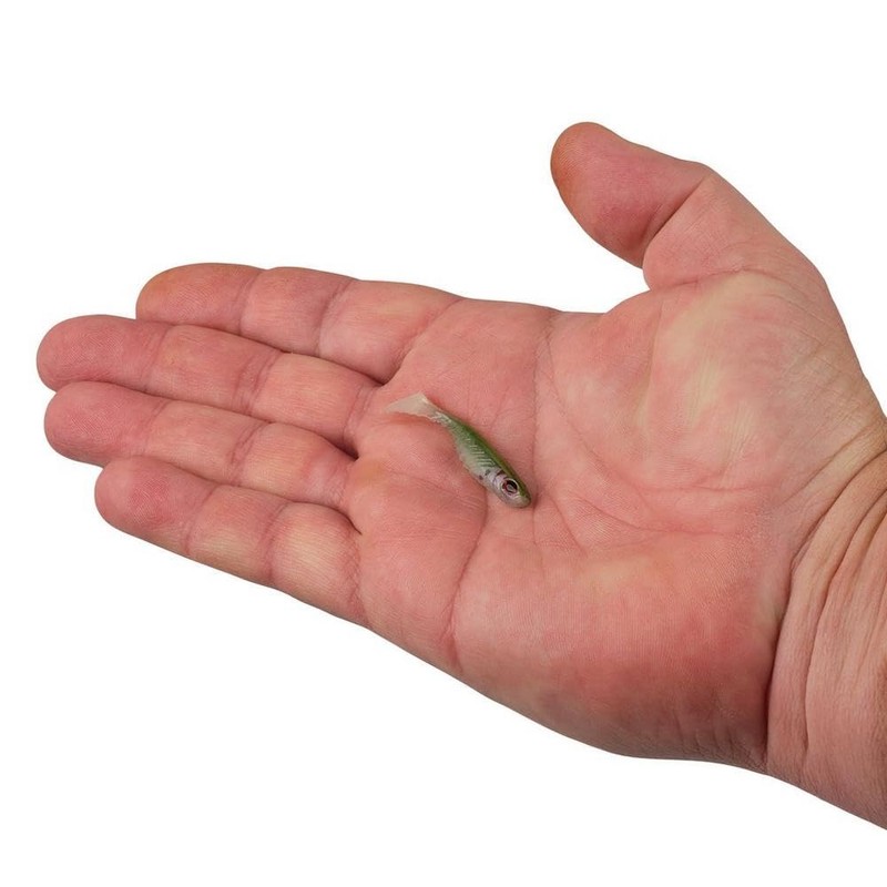 Berkley PBHRS2-HDTNS PowerBait Ripple Shad