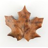 Maple Leaf Studiostone Creative Soapstone Sculpture Carving DIY Arts and