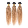 GzorOuzr Curly Wave Honey Blonde Bundles Brazilian Remy Hair Bundle