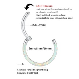 AROWRO G23 Titanium Nose Rings Hoop 18G 16G 14G Seamless Piercing Rings for Nose Septum Cartilage Helix Tragus Conch Rook Daith Lobe Diameter 6/8/10/12 mm