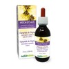 Naturalma American Witch-Hazel (Hamamelis virginiana) Leaf Alcohol-Free Tincture - 4