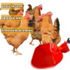6 Packs Large Automatic Chicken Waterer Cups Chicken Water Cups