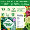 Matcha Supergreens Blend – Ceremonial Green Tea Powder with Spirulina,